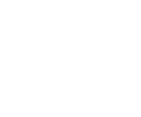 Link and Motivation Group