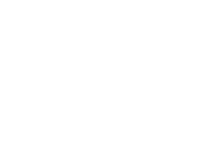 Link and Motivation Group
