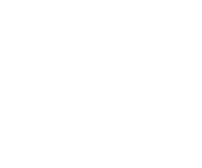 Link and Motivation Group